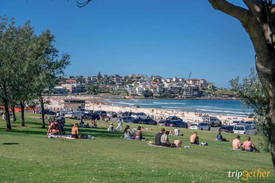 Bondi Beach Park