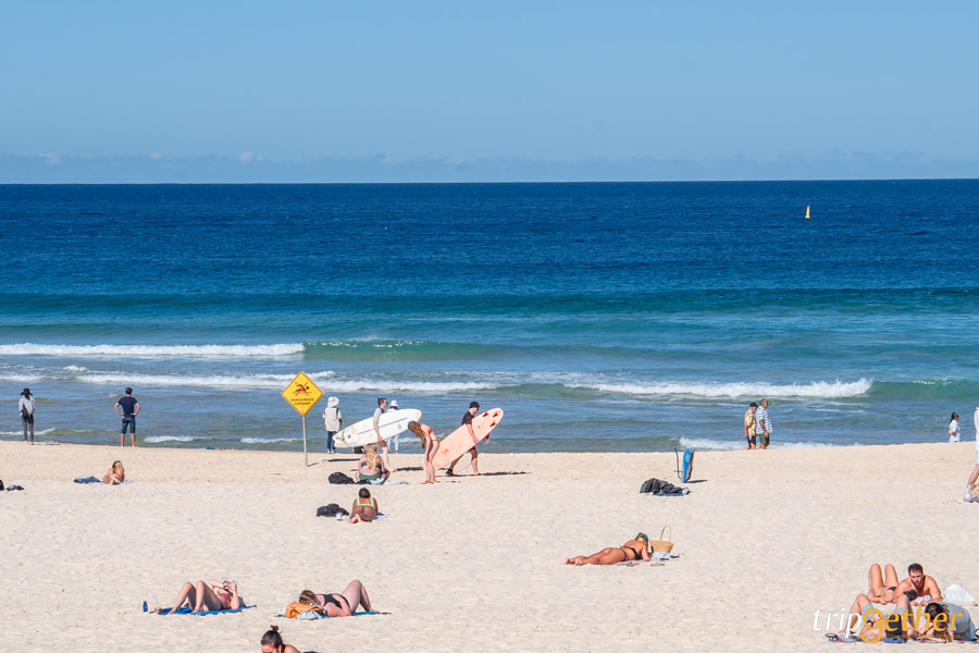 Bondi Beach