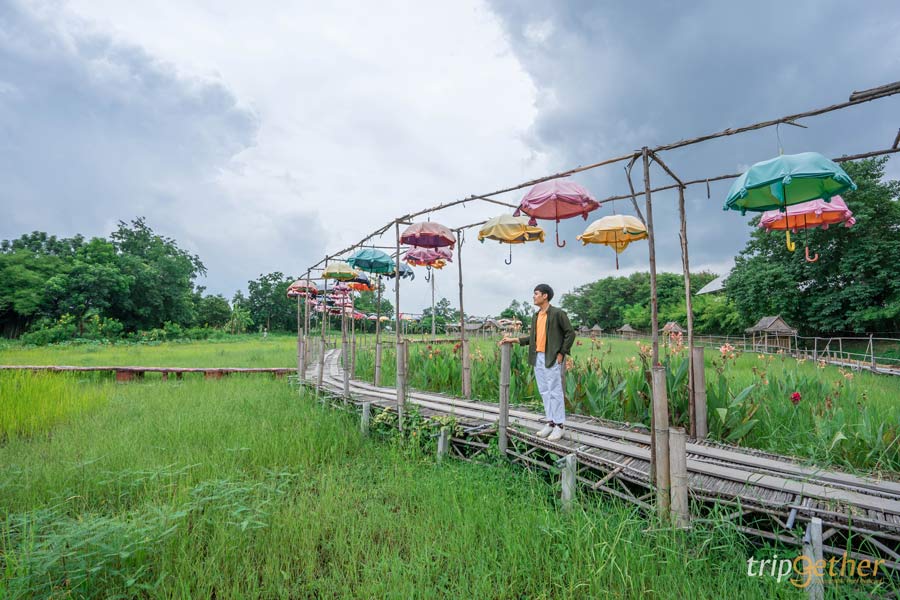 ร้านอาหาร คาเฟ่นครนายก