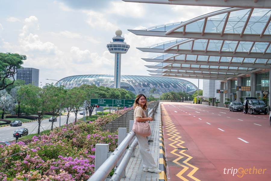 Changi Airport สิงคโปร์