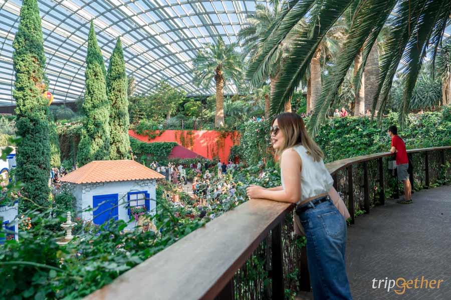 Garden by the Bay สิงคโปร์