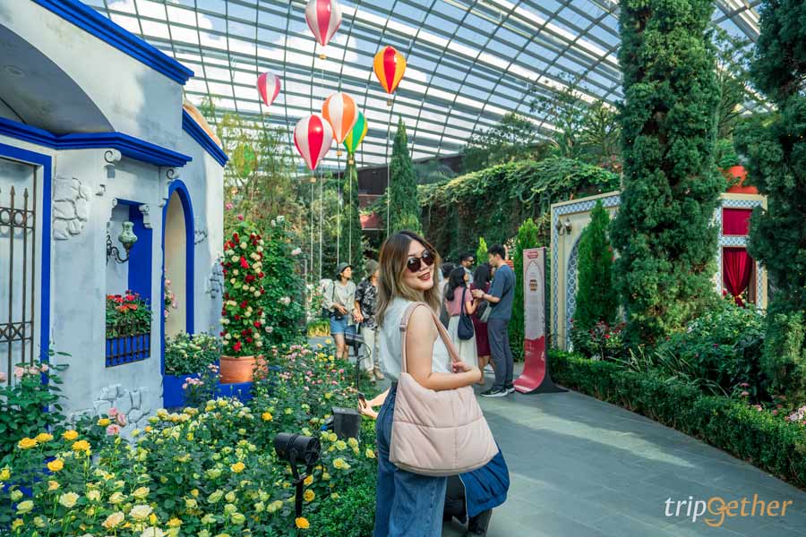 เที่ยว Garden by the Bay สิงคโปร์