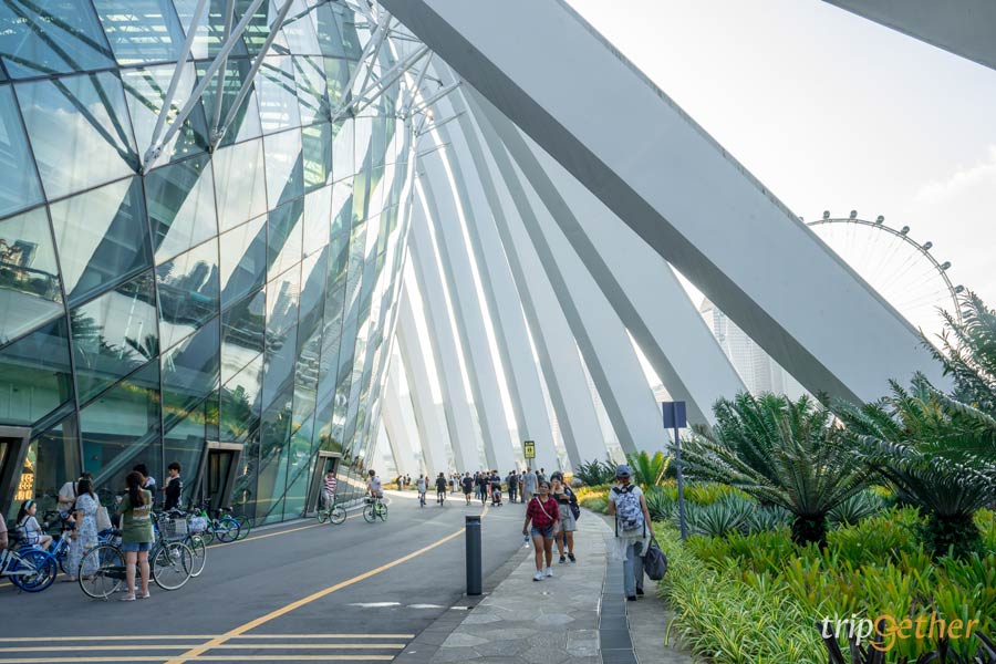 Garden by the Bay 