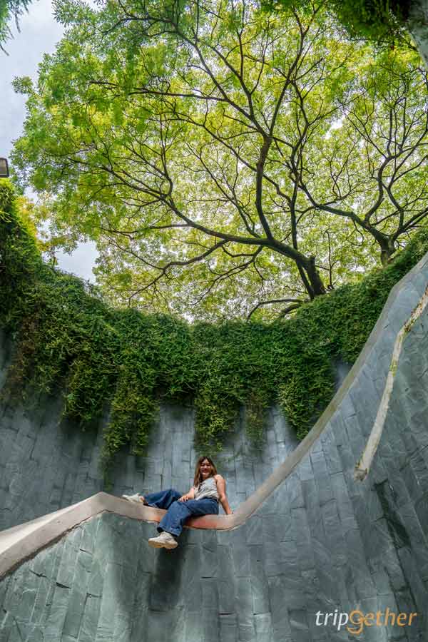 Fort Canning Tree Tunnel