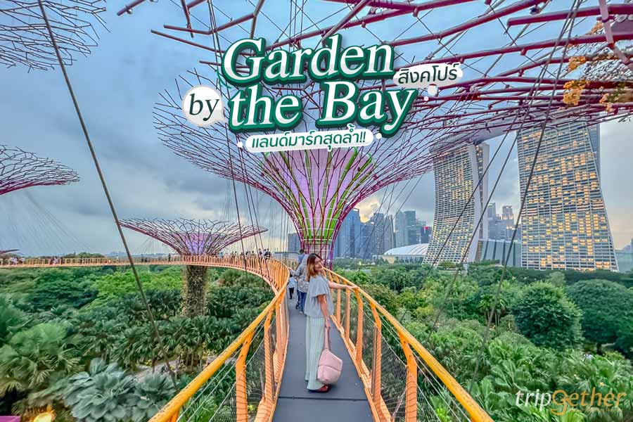 Garden by the Bay สิงคโปร์ สวนพฤษศาสตร์กลางเมือง แลนด์มาร์กสุดล้ำ!!