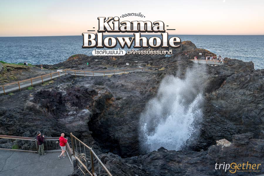 Kiama Blowhole ออสเตรเลีย ตื่นตาตื่นใจช่องโขดหินพ่นน้ำ มหัศจรรย์ธรรมชาติ!