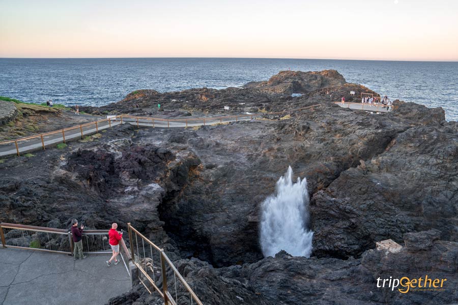 Kiama Blowhole ออสเตรเลีย