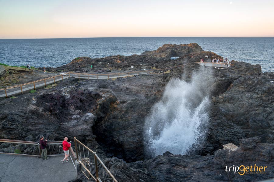 Kiama Blowhole ออสเตรเลีย