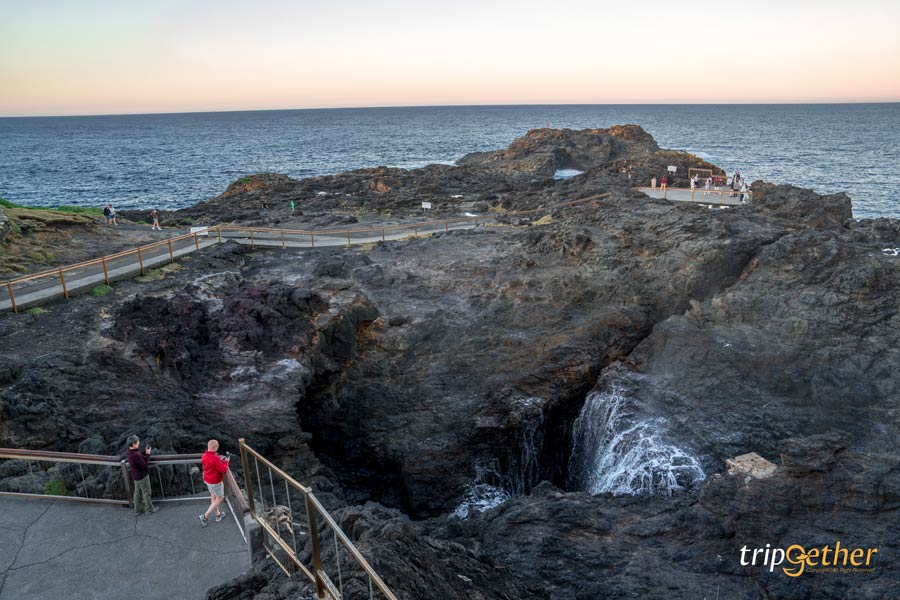 Kiama Blowhole ออสเตรเลีย