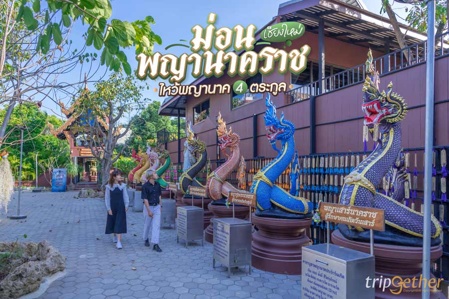 ม่อนพญานาคราช เชียงใหม่ ไหว้พญานาค 4 ตระกูล เสริมดวงให้ปัง!