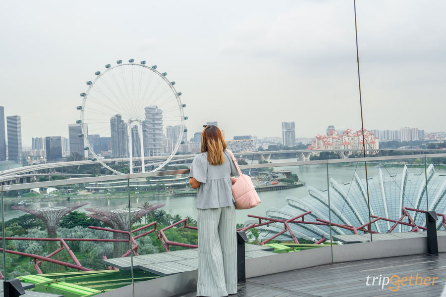 OCBC Skyway