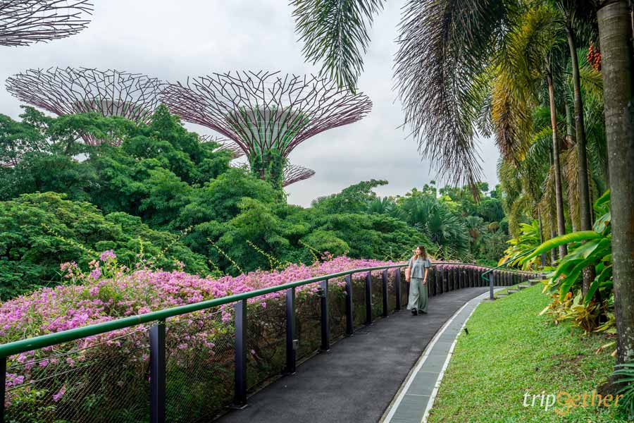 Garden by the Bay สิงคโปร์ สวนพฤษศาสตร์กลางเมือง แลนด์มาร์กสุดล้ำ!!