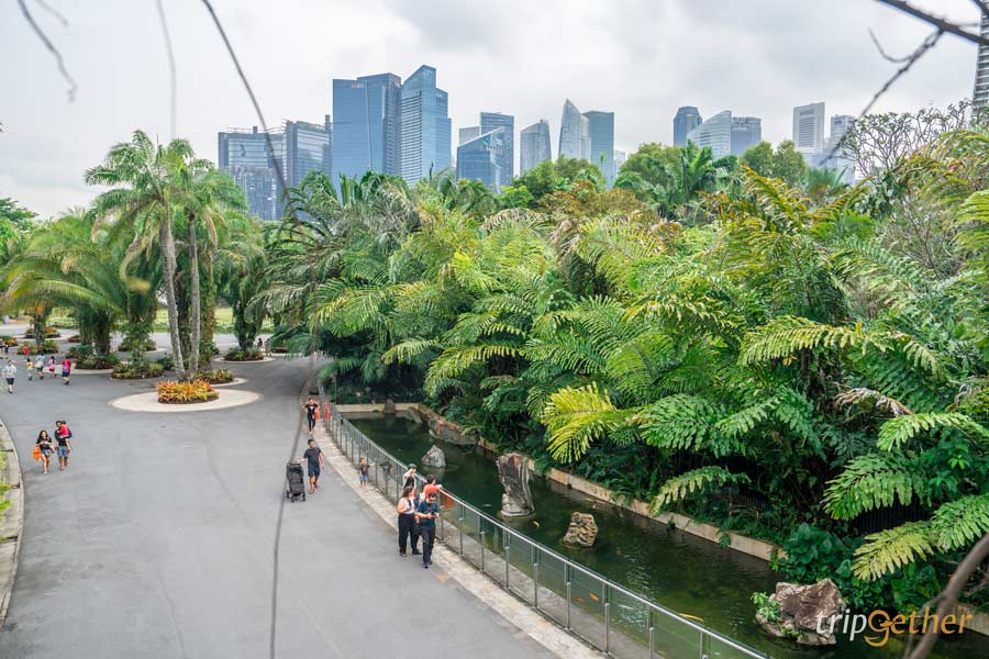 Garden by the Bay สิงคโปร์