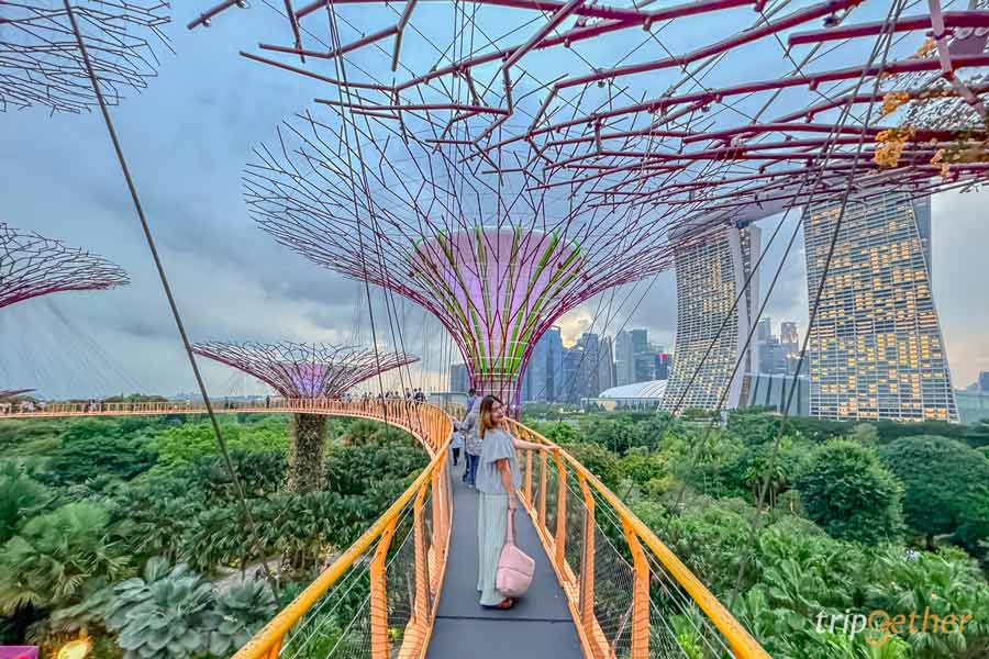 OCBC Skyway