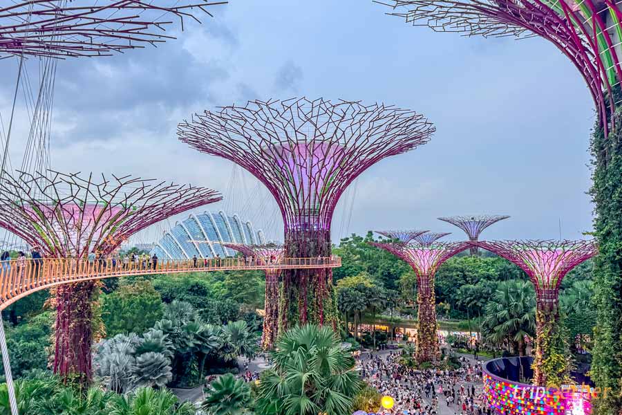 Garden by the Bay สิงคโปร์ สวนพฤษศาสตร์กลางเมือง แลนด์มาร์กสุดล้ำ!!