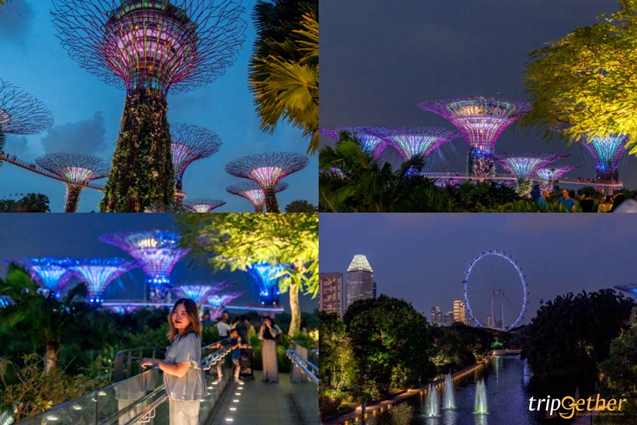 Garden by the Bay สิงคโปร์