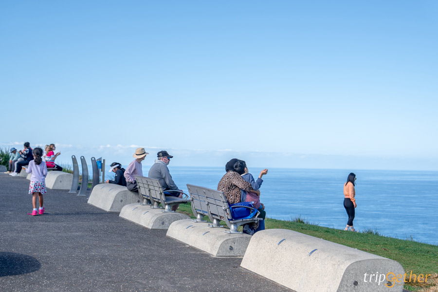 Bald Hill Lookout