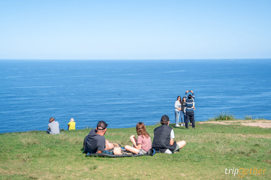 Bald Hill Lookout