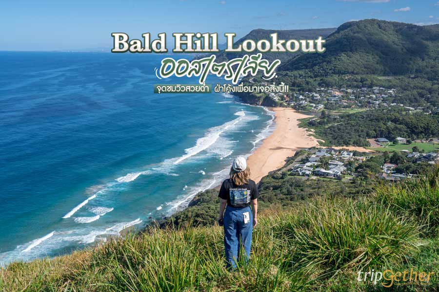 Bald Hill Lookout ออสเตรเลีย จุดชมวิวสวยฉ่ำ ฝ่าโค้งเพื่อมาเจอสิ่งนี้!