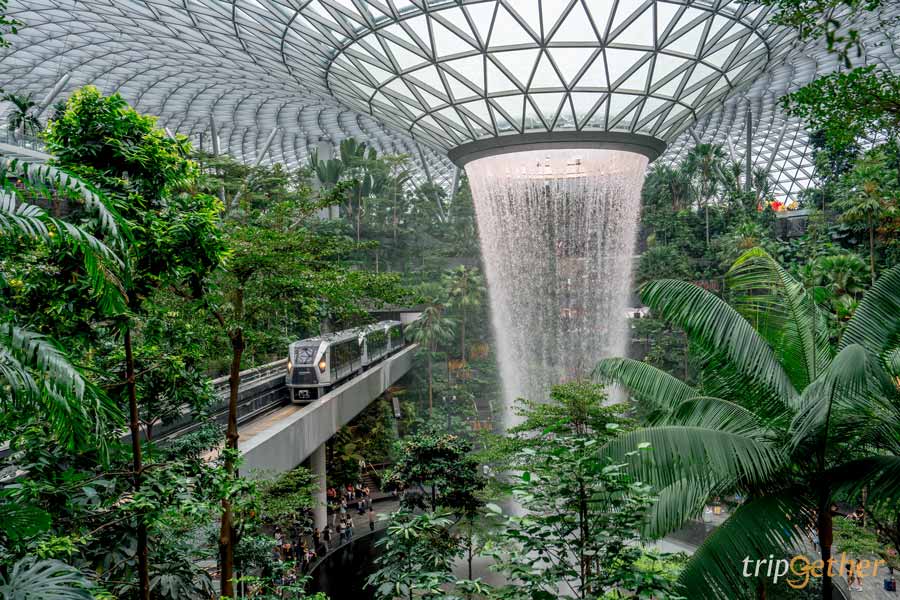 Changi Airport สิงคโปร์