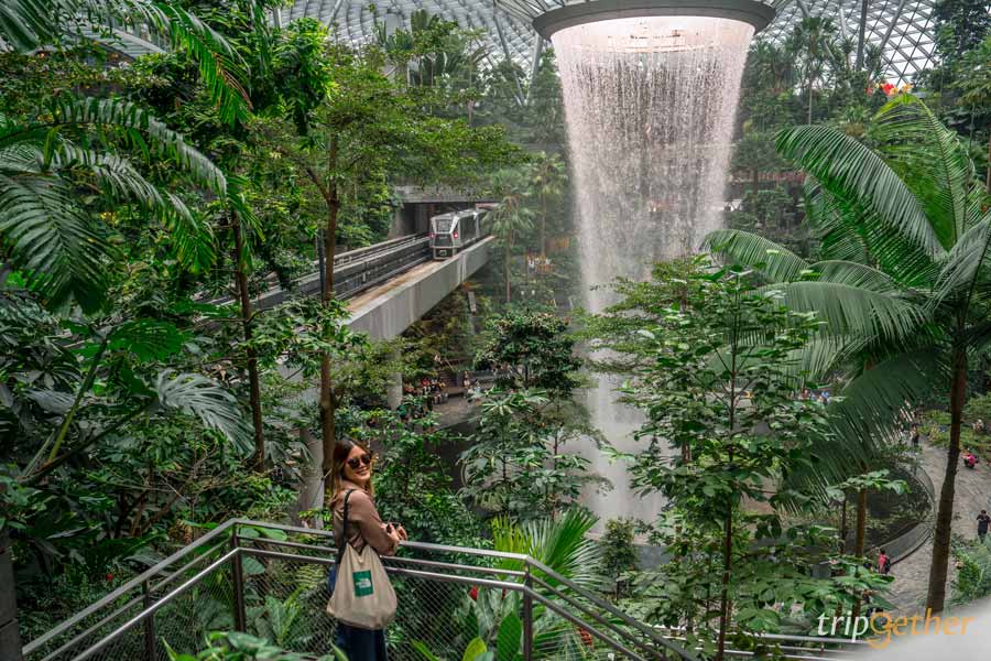 Changi Airport สิงคโปร์