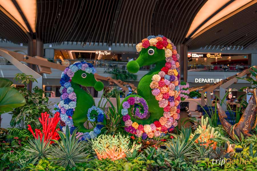 Changi Airport สิงคโปร์