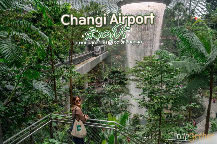 Changi Airport สิงคโปร์ สนามบินสุดล้ำ กับ 3 จุดเช็คอินสุดคูล