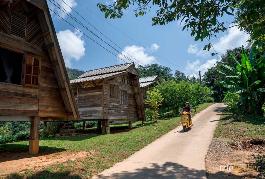 ที่พักในไร่ เชียงใหม่