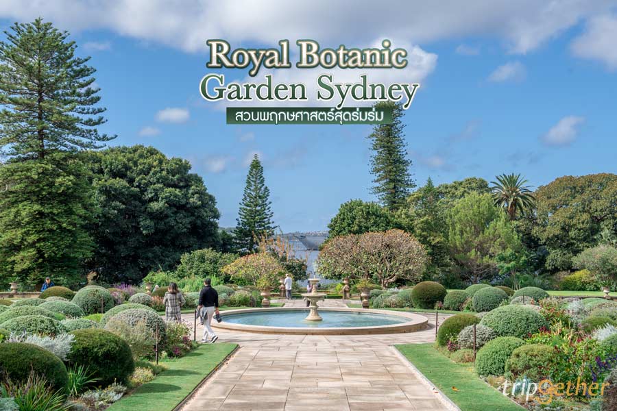 Royal Botanic Garden Sydney สวนพฤกษศาสตร์สุดร่มรื่น ชมดอกไม้หลากสีสัน