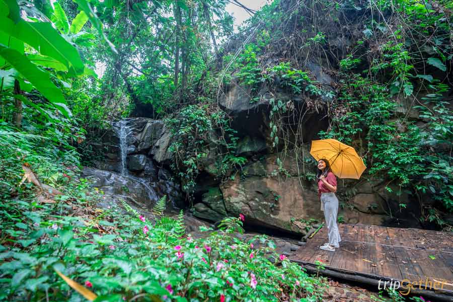 ที่พักในไร่ เชียงใหม่