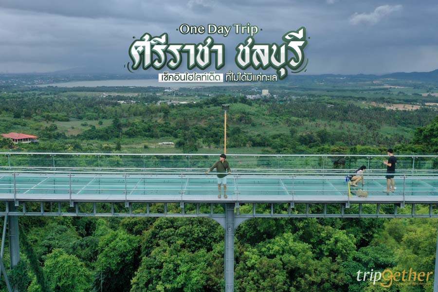 One Day Trip ศรีราชา ชลบุรี ฉบับสายชิลล์ เช็คอินไฮไลท์เด็ดที่ไม่ได้มีแค่ทะเล