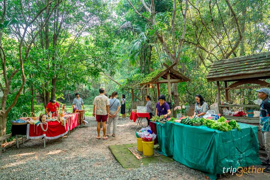 ตลาดนัดธรรมชาติบ้านสวนไผ่ล้อม เชียงใหม่