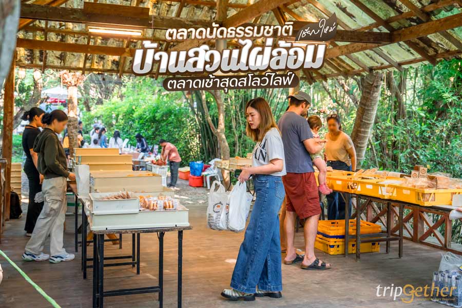 ตลาดนัดธรรมชาติบ้านสวนไผ่ล้อม เชียงใหม่ ตลาดนัดยามเช้าสุดสโลว์ไลฟ์