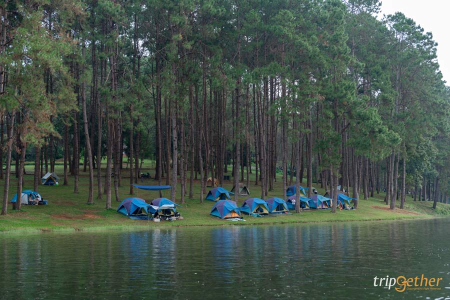 ที่เที่ยวปลายฝนต้นหนาว