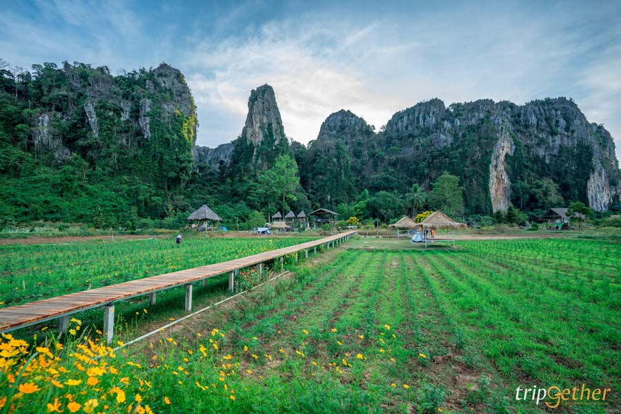 ที่พักบ้านมุง-เนินมะปราง พิษณุโลก