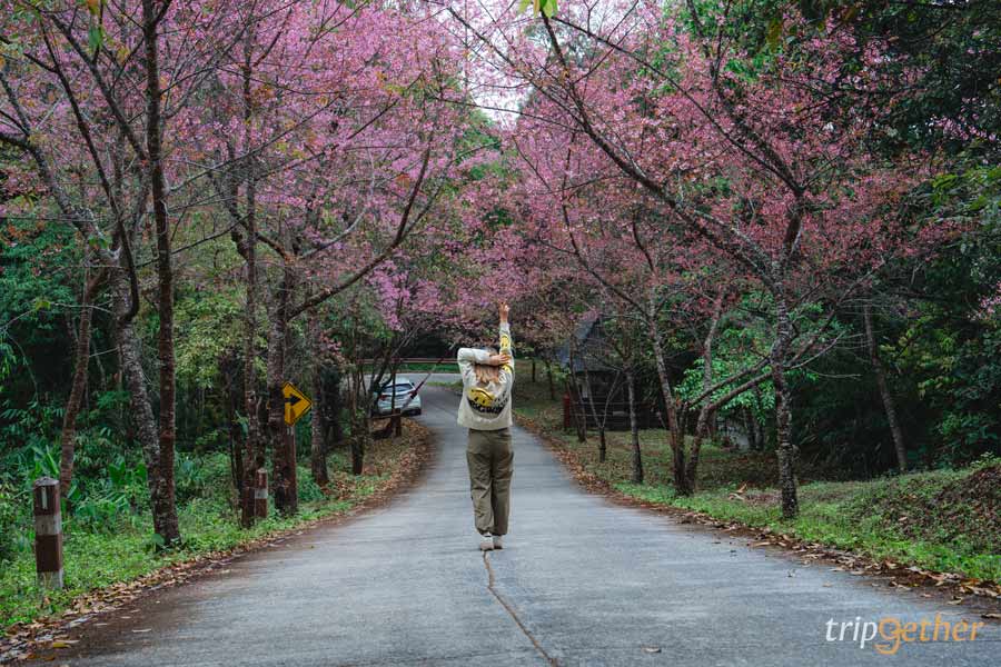 ที่พักในอุทยานแห่งชาติ