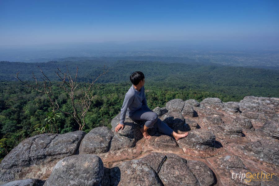 ลานหินปุ่ม ภูหินร่องกล้า