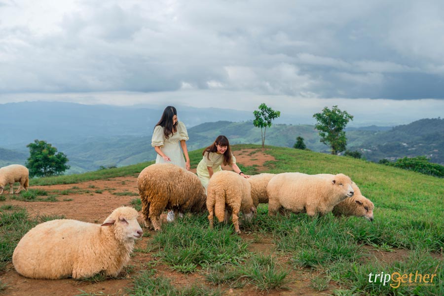 ที่เที่ยวไทยเหมือนต่างประเทศ