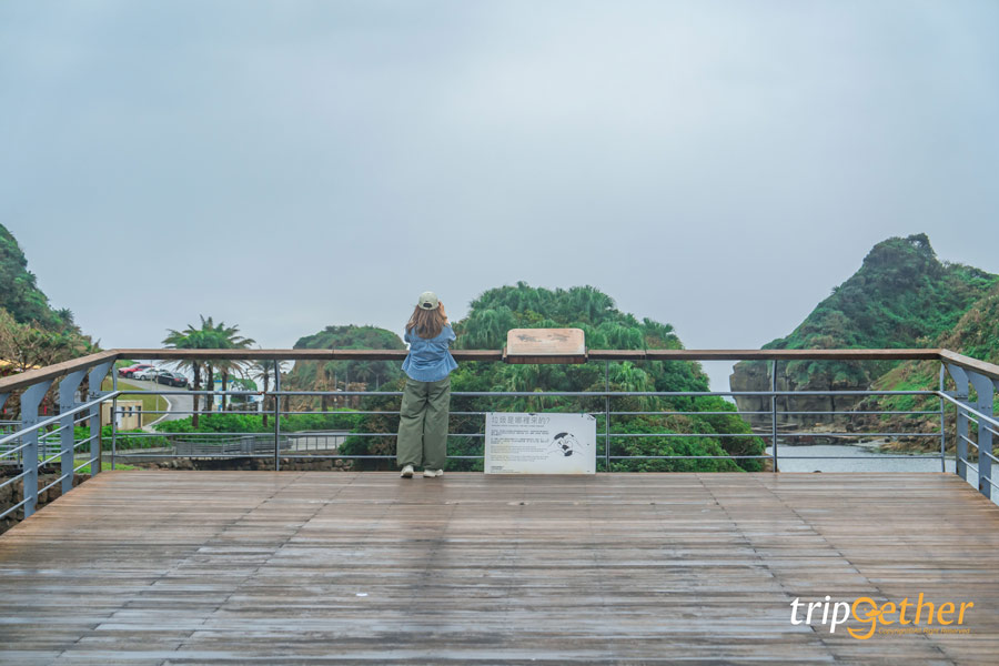 Heping Island Park ไต้หวัน จุดชมวิวทะเลที่สวยที่สุดในจีหลง 