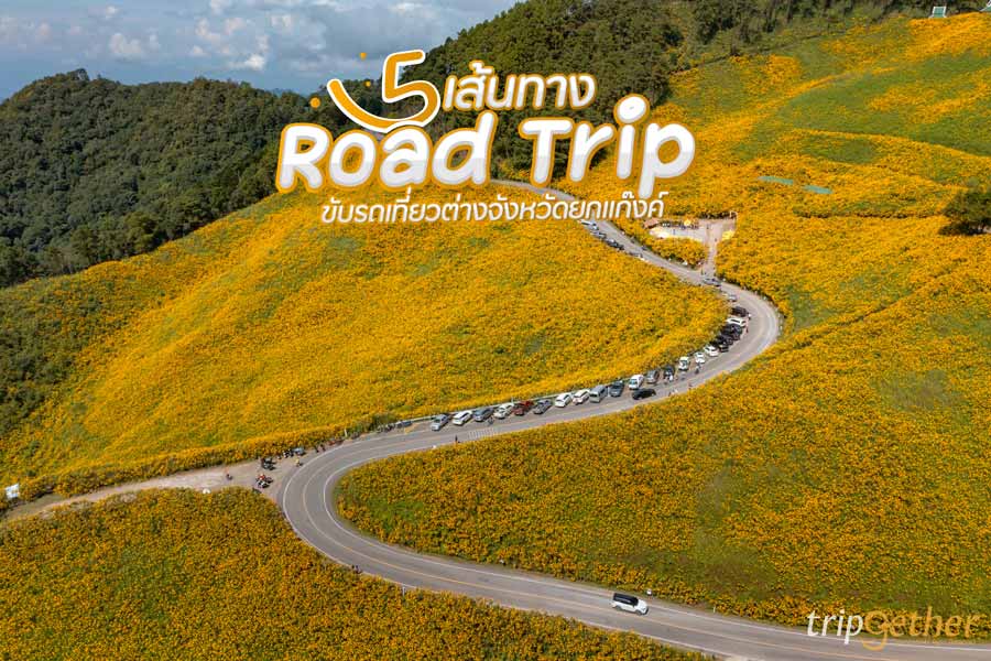 5 เส้นทาง Road Trip ขับรถเที่ยวต่างจังหวัดแบบยกแก๊งค์