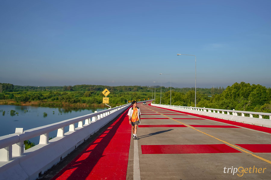 ป่าชายเลนปากน้ำประแส