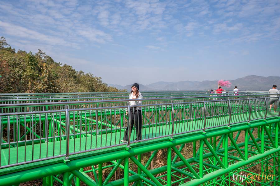 วัดพระธาตุดอยสะเก็ด